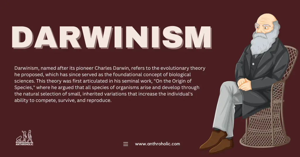 write an essay on darwinism