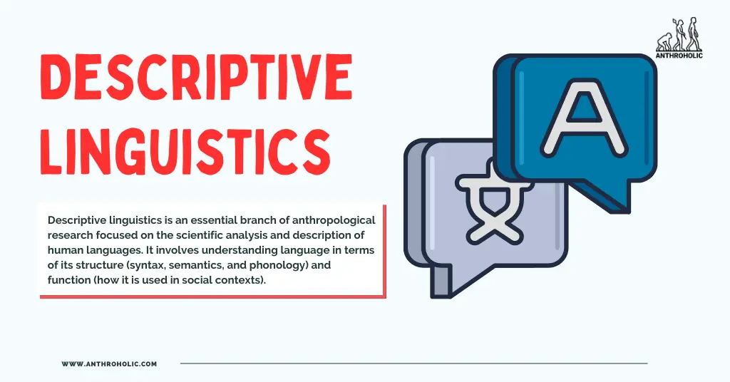 Descriptive linguistics is an essential branch of anthropological research focused on the scientific analysis and description of human languages. It involves understanding language in terms of its structure (syntax, semantics, and phonology) and function (how it is used in social contexts).