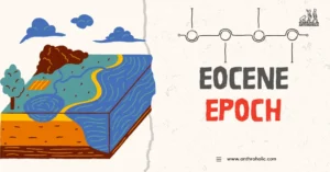 The Eocene Epoch, one of the most intriguing periods in Earth's history, spans from around 56 to 33.9 million years ago, following the Paleocene Epoch and preceding the Oligocene Epoch.