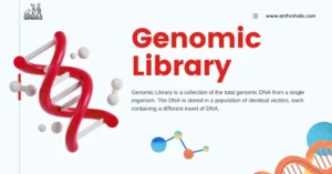 Genomic Library is a collection of the total genomic DNA from a single organism. The DNA is stored in a population of identical vectors, each containing a different insert of DNA.