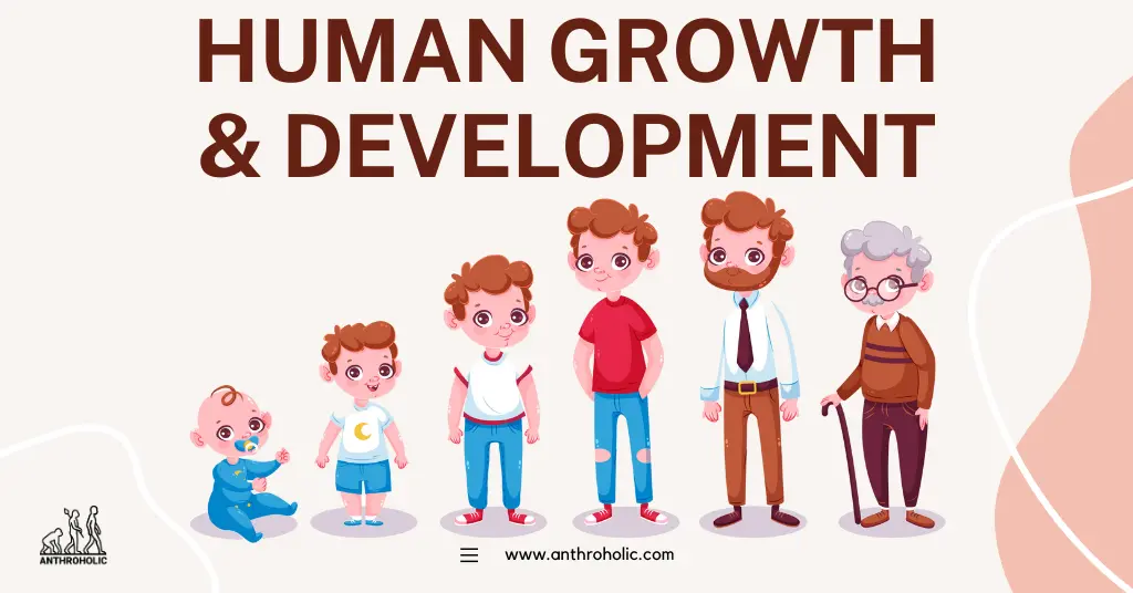 Human growth and development is a complex, multidimensional phenomenon which involves the progressive changes in size, shape, function, and behavior that occur from conception to adulthood.