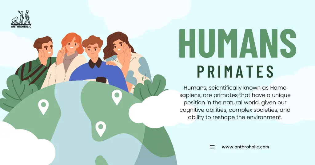 Humans, scientifically known as Homo sapiens, are primates that have a unique position in the natural world, given our cognitive abilities, complex societies, and ability to reshape the environment.