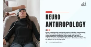 Neuro-anthropology, a relatively new sub-field of anthropology, offers fascinating perspectives on human experience by weaving together biological and cultural approaches. It investigates how our neurobiology interacts with our socio-cultural environment and how these two dimensions shape the complexity of human behavior.