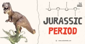 The Jurassic Period, extending from about 200 million to 145 million years ago, is the middle segment of the Mesozoic Era, sandwiched between the Triassic and the Cretaceous Periods.