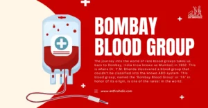 The journey into the world of rare blood groups takes us back to Bombay, India (now known as Mumbai) in 1952. This is where Dr. Y.M. Bhende discovered a blood group that couldn't be classified into the known ABO system. This blood group, named the 'Bombay Blood Group' or 'hh' in honor of its origin, is one of the rarest in the world.