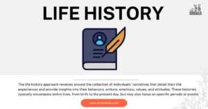 The life history approach revolves around the collection of individuals' narratives that detail their life experiences and provide insights into their behaviors, actions, emotions, values, and attitudes. These histories typically encompass entire lives, from birth to the present day, but may also focus on specific periods or events.