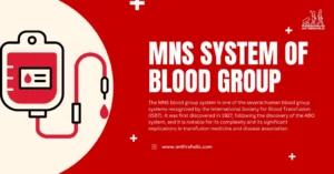 The MNS blood group system is one of the several human blood group systems recognized by the International Society for Blood Transfusion (ISBT). It was first discovered in 1927, following the discovery of the ABO system, and it is notable for its complexity and its significant implications in transfusion medicine and disease association.