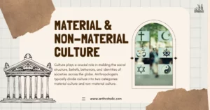 Culture plays a crucial role in molding the social structure, beliefs, behaviors, and identities of societies across the globe. Anthropologists typically divide culture into two categories: material culture and non-material culture.