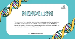 The principles of genetics, that determine how traits are passed from generation to generation, find their roots in the mid-19th-century work of Gregor Mendel. His pioneering research on pea plants has been foundational to the field, leading to the development of what we now term "Mendelism."