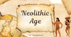 The Neolithic Age, also known as the New Stone Age, marked a significant era in human history. It spanned approximately from 10,000 BCE to 3,000 BCE, varying geographically.