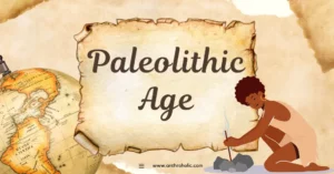 The Paleolithic Age, also known as the Stone Age, is characterized as the period of human history that began roughly 2.6 million years ago and ended around 10,000 BCE. During this period, our early ancestors learned to master tools, develop rudimentary societies, and survive in various ecological environments.