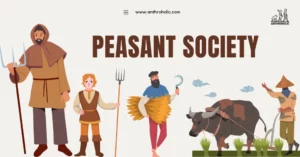Peasant society represent a category of agrarian societies where the major mode of subsistence depends on small-scale agriculture. While the label ‘peasant’ may bear historical and cultural connotations, researchers aim to elucidate the anthropological understanding of peasant societies, drawing on key studies and theories.