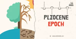 The Pliocene Epoch is a period in Earth's history that spanned from about 5.3 million to 2.6 million years ago. It is the last epoch of the Neogene Period in the Cenozoic Era, following the Miocene Epoch and preceding the Pleistocene Epoch
