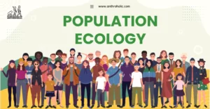 Population ecology is the study of the dynamics of species populations and how these populations interact with their environment. It's traditionally a biological discipline, but recent advances have led anthropologists to examine population ecology in human societies.