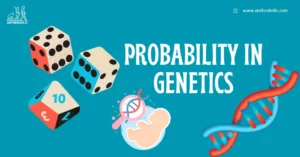 Probability in Genetics in Anthropology