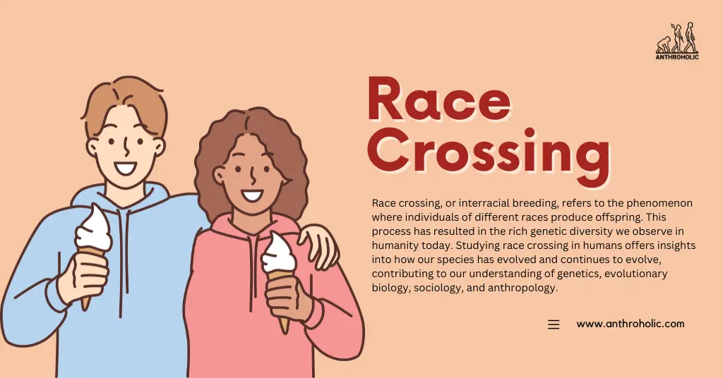Race crossing, or interracial breeding, refers to the phenomenon where individuals of different races produce offspring. This process has resulted in the rich genetic diversity we observe in humanity today. Studying race crossing in humans offers insights into how our species has evolved and continues to evolve, contributing to our understanding of genetics, evolutionary biology, sociology, and anthropology .