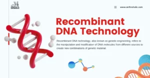 Recombinant DNA technology, also known as genetic engineering, refers to the manipulation and modification of DNA molecules from different sources to create new combinations of genetic material.