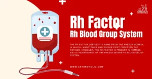 Rh factor or Rh Blood Group System