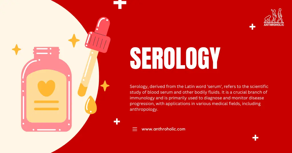Serology, derived from the Latin word 'serum', refers to the scientific study of blood serum and other bodily fluids. It is a crucial branch of immunology and is primarily used to diagnose and monitor disease progression, with applications in various medical fields, including anthropology.