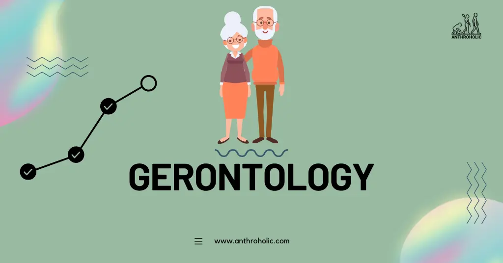 Gerontology is an interdisciplinary field of science that explores the physical, psychological, and socio-cultural aspects of aging. It's a branch of study that's increasingly relevant as the global population continues to age at an unprecedented rate, and it draws on the knowledge and methodologies from multiple disciplines such as biology, psychology, sociology, and healthcare.