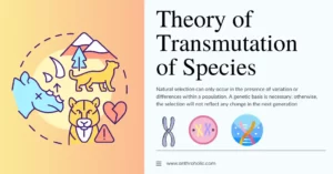 Theory of Transmutation of Species in Anthropology