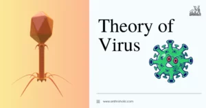 The Theory of Viruses presents an unconventional yet intriguing perspective on the evolution of life. This perspective posits that viruses, typically seen as parasitic agents, are central to the genesis and development of life.