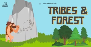 Tribes and forests have shared a complex and interdependent relationship throughout human history. Anthropologists explore the connections between tribal communities and forest ecosystems, examining how tribes rely on forests for sustenance and cultural practice, and how they manage and conserve these valuable resources.