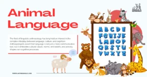 Insights from animal communication studies are pivotal to the field of evolutionary linguistics, which seeks to understand the origins and evolution of language.
