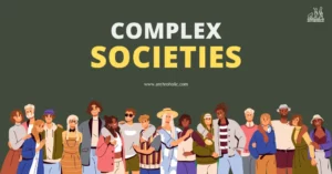 Understanding Complex Societies in Anthropology