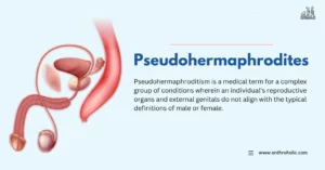 Pseudohermaphroditism is a medical term for a complex group of conditions wherein an individual's reproductive organs and external genitals do not align with the typical definitions of male or female.