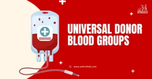 Among the various blood types, one holds a unique and vital role: O negative, the universal donor blood group. Every minute, people across the globe require life-saving blood transfusions for a plethora of reasons - from surgeries and injuries to chronic illnesses.