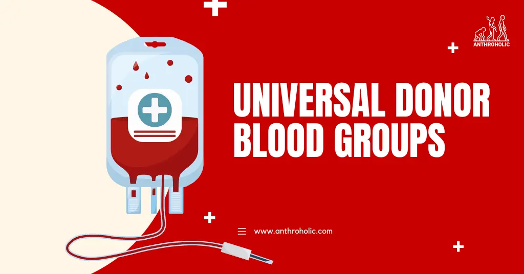 Increasing challenges of finding blood donors highlighted | InSight+