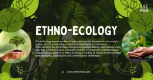Ethno-Ecology examines the complex relationships between a community's culture and its surrounding ecological environment. It emphasizes understanding the traditional ecological knowledge, beliefs, and practices and how they influence human interaction with the environment.