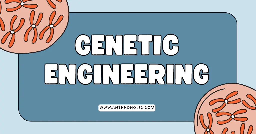 What is Genetic Engineering and its importance in Anthropology