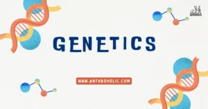 What is Genetics in Anthropology