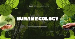 What is Human Ecology and it's relation with Anthropology