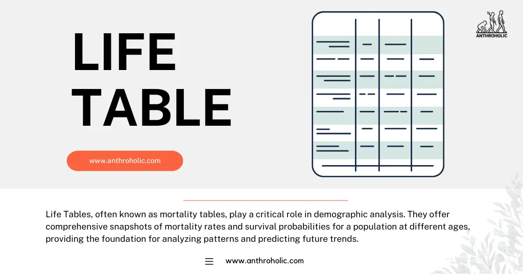 Life Tables, often known as mortality tables, play a critical role in demographic analysis. They offer comprehensive snapshots of mortality rates and survival probabilities for a population at different ages, providing the foundation for analyzing patterns and predicting future trends.