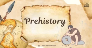 Prehistory is a period of human history before the advent of written records. It's an era that set the groundwork for human civilization, full of intrigue, exploration, and adaptation.