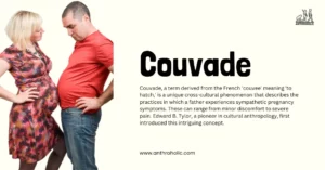 Couvade, a term derived from the French 'couvee' meaning 'to hatch,' is a unique cross-cultural phenomenon that describes the practices in which a father experiences sympathetic pregnancy symptoms. These can range from minor discomfort to severe pain. Edward B. Tylor, a pioneer in cultural anthropology, first introduced this intriguing concept.