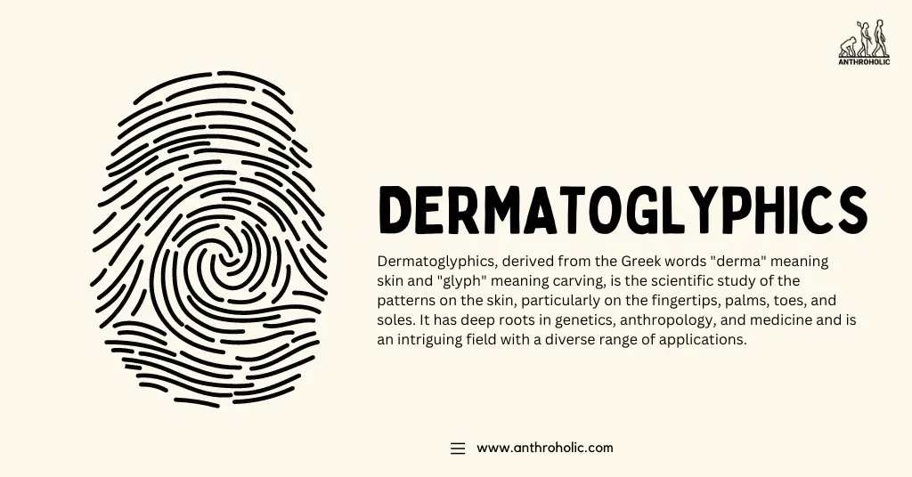 Dermatoglyphics, derived from the Greek words "derma" meaning skin and "glyph" meaning carving, is the scientific study of the patterns on the skin, particularly on the fingertips, palms, toes, and soles. It has deep roots in genetics, anthropology, and medicine and is an intriguing field with a diverse range of applications.