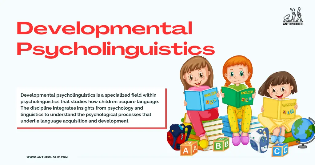 Developmental psycholinguistics is a specialized field within psycholinguistics that studies how children acquire language. The discipline integrates insights from psychology and linguistics to understand the psychological processes that underlie language acquisition and development.