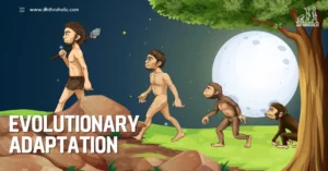 Evolutionary adaptation, also known simply as adaptation, refers to the process by which organisms evolve traits and behaviors that help them survive and thrive in their environment. This process is driven by natural selection, a core mechanism of evolution, where those individuals with beneficial traits are more likely to reproduce and pass those traits on to future generations.
