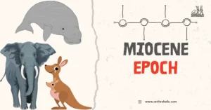 The Miocene epoch, a significant period in Earth's history, extended from about 23 million to 5.3 million years ago. Characterized by drastic climate changes, the rise of new mammalian species, and the formation of new landscapes, the Miocene has left an indelible imprint on the planet.