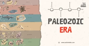 The Paleozoic Era, meaning "ancient life," spans a significant portion of Earth's geologic timescale, from around 541 million to about 252 million years ago. This prehistoric era is especially important as it signifies the proliferation of complex, multi-cellular life.