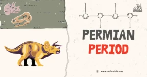 The Permian period, occurring approximately 299 to 252 million years ago, signifies the final epoch of the Paleozoic era, pre-dating the Mesozoic era, and is known for its immense biodiversity and the eventual mass extinction event.