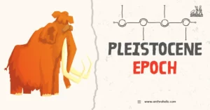 The Pleistocene Epoch, often referred to as the Ice Age, is a significant period in Earth's history. Spanning from 2.6 million to 11,700 years ago, it was characterized by repeated glaciations, the evolution of modern humans, and the extinction of large mammals