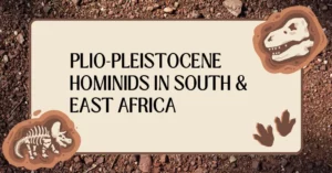 Some of the most iconic Plio-Pleistocene hominids fossils have been discovered in regions such as the Great Rift Valley, Olduvai Gorge, and Sterkfontein.