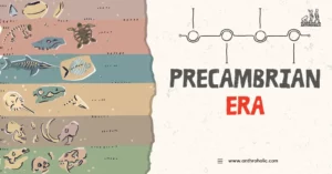 The Precambrian Era, covering approximately 88% of Earth's history, is an epoch marked by the formation of the planet, the rise of single-celled life forms, and the development of complex multi-cellular organisms.