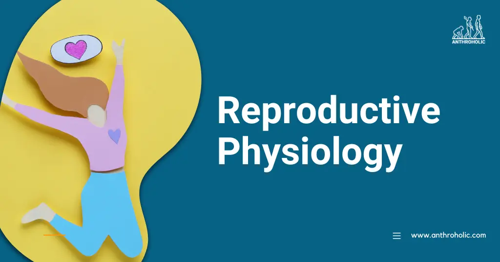 Reproductive physiology, a specialized branch of human physiology, is an intriguing science that underscores the biological events leading to human reproduction. Understanding the crucial processes, hormonal influences, and remarkable adaptations involved can offer valuable insights into both fertility and disease mechanisms.