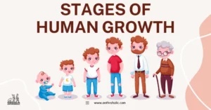 The stages of human growth represent an intricate interplay of biological, cognitive, and psychosocial transformations. Studying these stages from a biological anthropological perspective not only enhances our understanding of human life but also promotes holistic approaches to health and wellness across the lifespan.